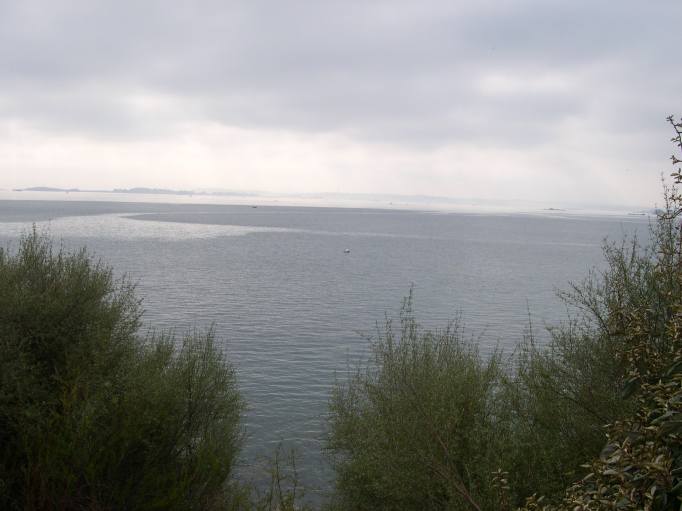  la mer depuis le jardin exotique